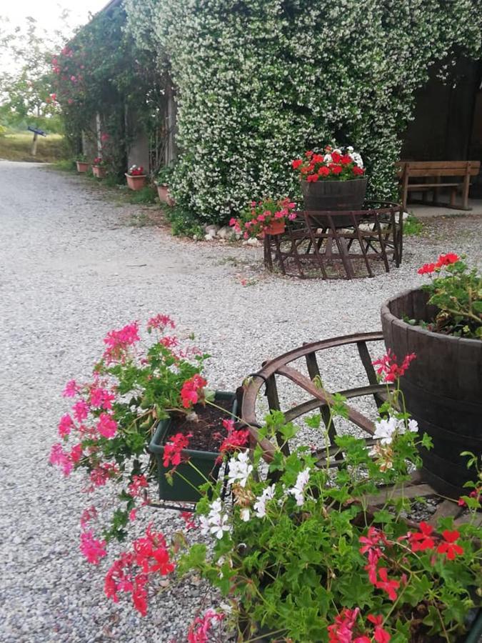 Con Cucina Tipica Nuova Scardua Landhaus