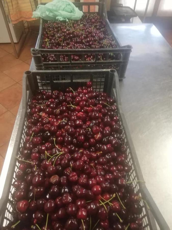 Agriturismo Con Cucina Tipica Nuova Scardua Landhuis Cavriana