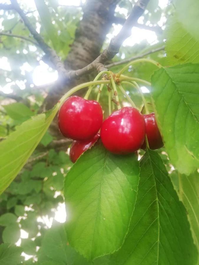 Con Cucina Tipica Nuova Scardua