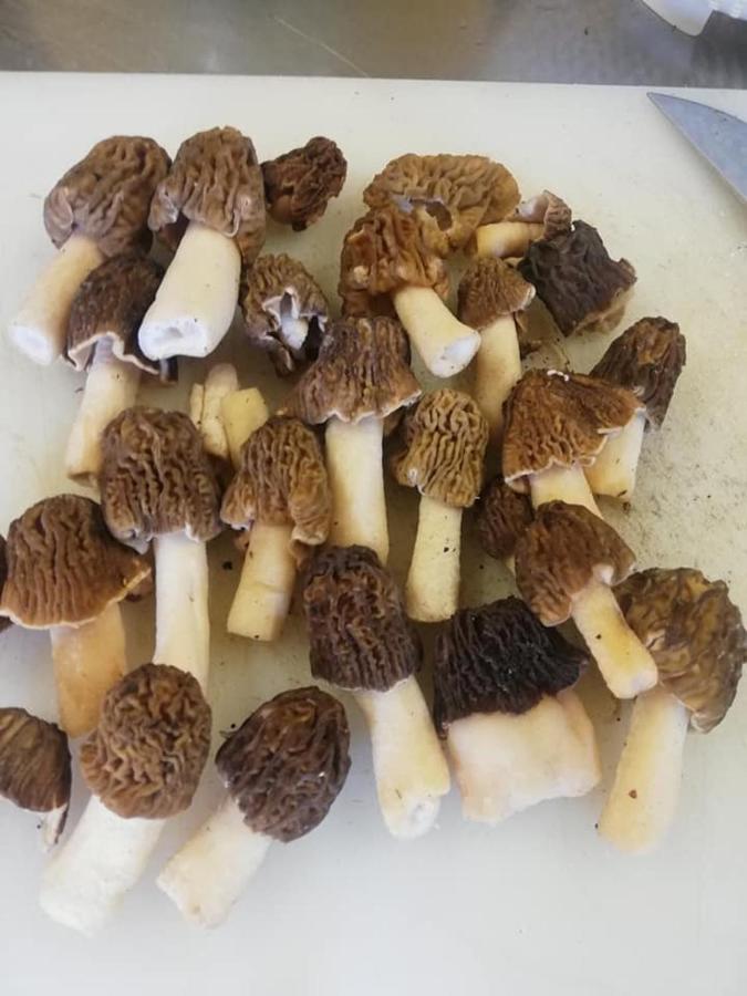 Con Cucina Tipica Nuova Scardua * Cavriana