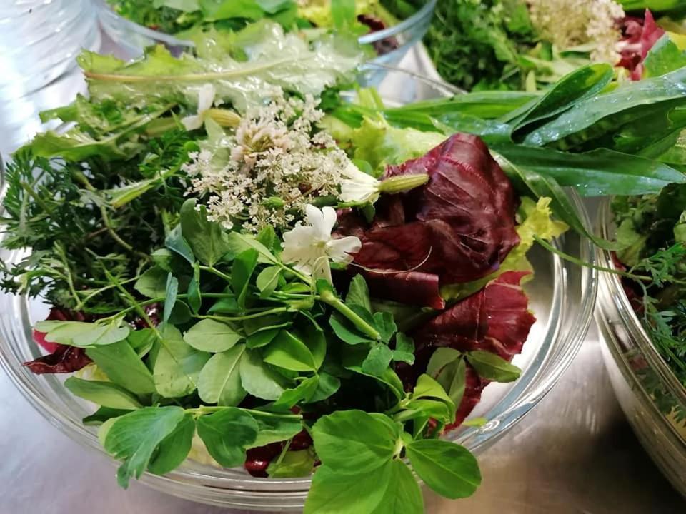 Con Cucina Tipica Nuova Scardua Landhaus Cavriana
