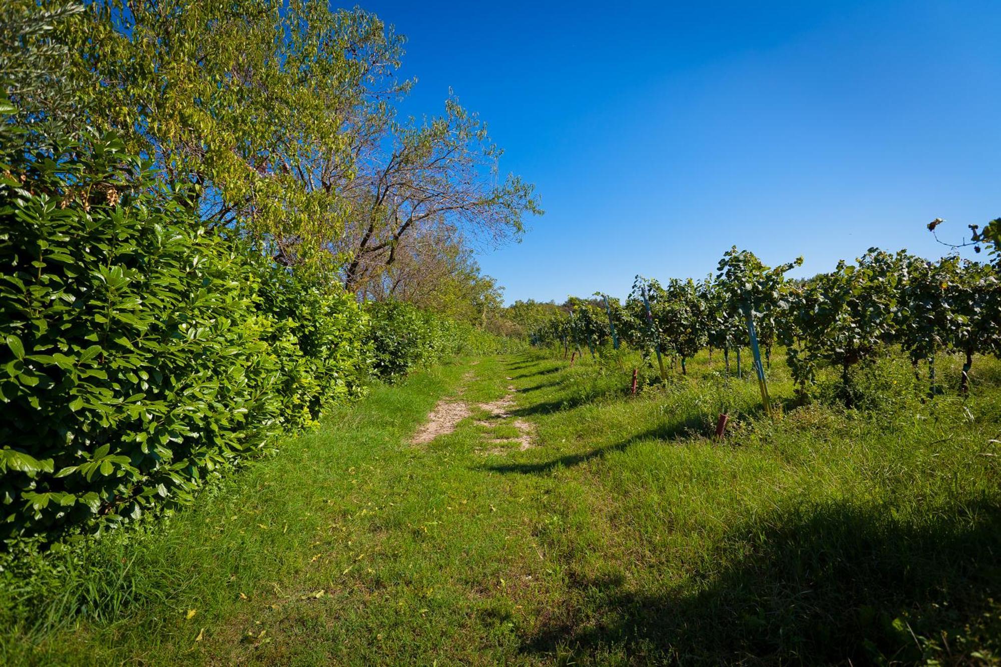Landhuis Agriturismo Con Cucina Tipica Nuova Scardua *