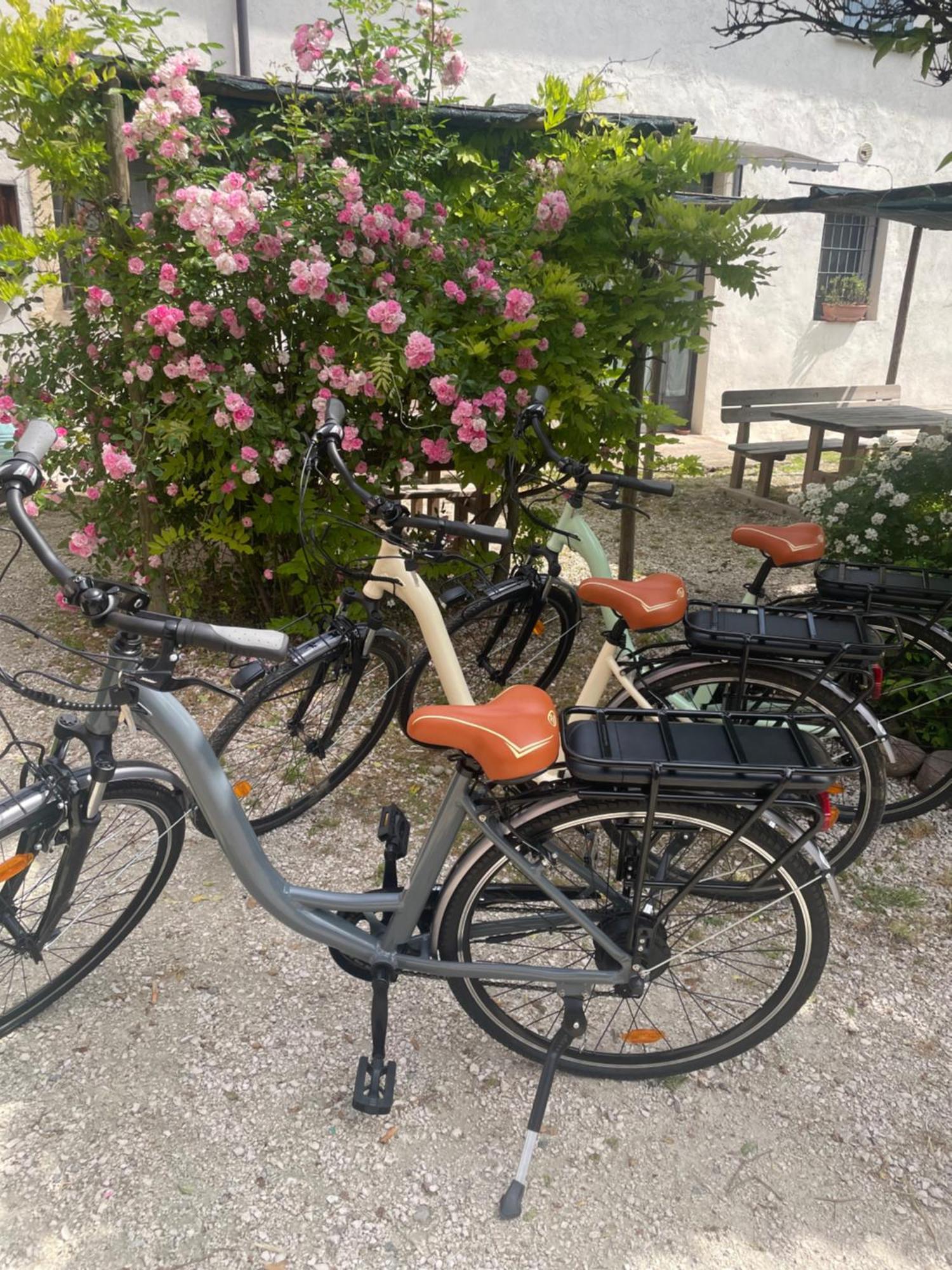 Con Cucina Tipica Nuova Scardua Cavriana