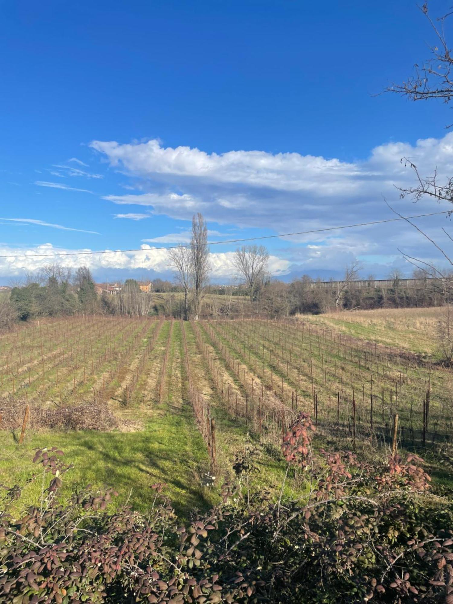 Casa di campagna Nuova Scardua Cavriana